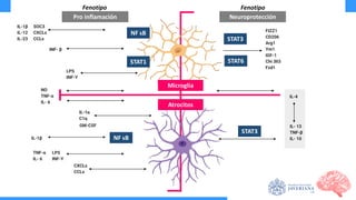 REANIMACIÒN CARDIOPULMONAR EN EL CEREBRO | PDF