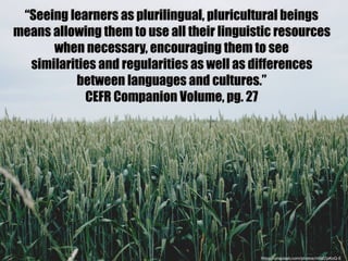 “Seeing learners as plurilingual, pluricultural beings
means allowing them to use all their linguistic resources
when nece...