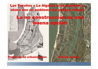 Los Toruños y La Algaida sí se salvaron, y
ahora son un emblema del parque natural
La no construcción es una
buena opción
Proyecto de urbanización Estado actual
 