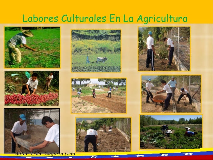 Resultado de imagen para principales labores culturales en la agricultura
