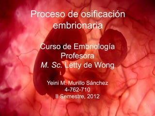 Proceso de osificación
     embrionaria

  Curso de Embriología
       Profesora
  M. Sc. Letty de Wong

   Yeini M. Murillo Sánchez
          4-762-710
      II Semestre, 2012
 