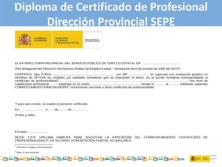 Diploma de Certificado de Profesional
Dirección Provincial SEPE
 