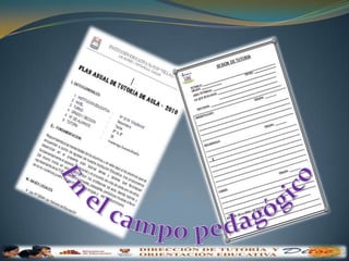 En el campo pedagógico