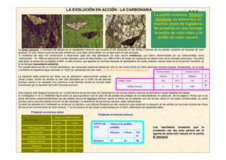 LA EVOLUCIÓN EN ACCIÓN : LA CARBONARIA.
                                                                                                                              La polilla moteada, Bioston
                                                                                                                               betularia, se encuentra en
                                                                                                                              muchas áreas de Inglaterra.
                                                                                                                              Se presenta en dos formas:
                                                                                                                              la polilla de color claro y la
                                                                                                                                polilla de color oscuro.


La Biston betularia, o mariposa del abedul es un lepidóptero nocturno que durante el día descansa en las ramas o troncos de los árboles cubiertos de líquenes de color
grisáceo. El color blanco sucio de las alas contribuye a que sean confundidas con la base sobre la que se posan.
 A mediados del siglo XIX comenzaron a observarse cada vez más ejemplares de color oscuro (melánica), que fueron denominadas por los coleccionistas como
“carbonarias”. En 1848 se descubría el primer ejemplar cerca de Manchester y en 1895 el 95% de todas las mariposas de abedul eran de la variedad carbonaria. Tres años
mäs tarde, la proporción ya llegaba al 99%. A este proceso, que aparece en muchas especies de lepidópteros de zonas urbanas, incluso antes de la revolución industrial, se
le ha llamado mecanismo industrial.
Por aquella época se dio un curioso paralelismo: las mariposas melánicas aparecían sólo en las zonas donde se había asentado industria pesada. Actualmente, en el norte
y suroeste de Inglaterra sigue dándose un 100% de variedades de color claro. ¿Cuál es la relación entre un suceso y otro?
                                                                                                                                 Troncos claros            Troncos oscuros

La siguiente tabla presenta los datos que se obtuvieron coleccionando polillas en                                                   Número         %           Número        %
zonas rurales, donde los árboles no han sido afectados por el hollín de las fábricas
                                                                                             Polillas Claras                          324         99, 1          114         9,3
(troncos claros) y en bosques muy próximos a las fábricas donde los troncos están
oscurecidos por el depósito del hollín (troncos oscuros).                                                                                                                    90,
                                                                                                        Polillas Oscuras               3           0,9          1403
                                                                                                                                                                             7

Para explicar esta desigual proporción en la abundancia de los dos tipos de mariposas en los troncos claros y oscuros se formularon varias hipótesis de trabajo.
El investigador H: B: D: Kettlewell figuró entre los que supusieron que el color de las polillas las protegía de los depredadores, en particular, de los pájaros. Pensó que si se
podía demostrar experimentalmente que las polillas oscura de Betularia sufrirían menos el efecto de la prelación que las formas claras en las áreas contaminadas, se podía
concluir que la polución debido al humo de las industrias y la apariencia de las formas oscuras, están relacionadas.
Durante los estudios el d. Kettlewell se construyó un biombo y una cámara filmadora de alta resolución para observar la prelación de las polillas por las aves durante las horas
del día en los troncos libres de hollín (claros). Y en los bosque de las zonas contaminadas por el hollín, obteniendo los siguientes datos:

            Predación en troncos claros
                                                                          Predación en troncos oscuros
                                 Número de polillas comidas
    TIPOS DE AVE
                                Oscuras           Claras
                                                                      TIPOS DE       Número de polillas
         Muscicapa striata          81              9                 AVE            comidas                                 Los resultados muestran que la
                                                                                                                             predación por las aves parece ser el
           Sitta europea            40              11                               Oscuras       Claras        Tot         agente de selección natural en la polilla
        Emberiza citrinella         20              0
                                                                                                                 al          B: betularia
        Erithacus rubecula          12              2                 Redstart       15            43            58
            Turdus sp.              11              4

              Total                 164             26
 