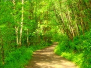 Nada es más suave y al mismo tiempo tan
   fuerte como el agua, que fluye firme y
 lentamente, con la sabiduría de tener el
    mismo destino del hombre: SEGUIR
                           ADELANTE.
 