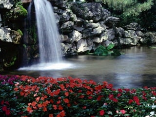 Frente a cualquier problema que te parezca sin
  solución, asume una actitud inteligente, a tu
                                        favor:
                                  RESPIRA...
 