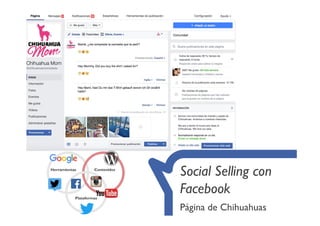 Social Selling con
Facebook
Página de Chihuahuas
 