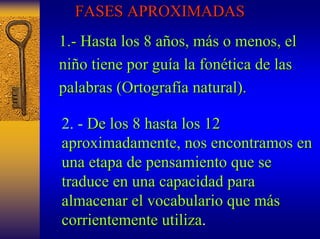 FASES APROXIMADAS 
1. 1.- Hasta los 8 a años, m os, más o menos, el 
s ni niño tiene por gu o guía la fon a fonética de las 
tica palabras (Ortograf Ortografía natural) a natural). 
2. -De los 8 hasta los 12 
aproximadamente, nos encontramos en 
una etapa de pensamiento que se 
traduce en una capacidad para 
almacenar el vocabulario que m más s 
corrientemente utiliza utiliza. 
 