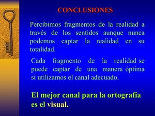 CONCLUSIONES 
Percibimos fragmentos de la realidad a través de los sentidos aunque nunca podemos captar la realidad en su totalidad. 
Cada fragmento de la realidad se puede captar deuna manera óptima si utilizamos el canal adecuado. 
El mejor canal para la ortograf ortografía a 
es el visual. 
 