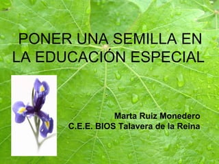 PONER UNA SEMILLA EN
LA EDUCACIÓN ESPECIAL
Marta Ruiz Monedero
C.E.E. BIOS Talavera de la Reina
 