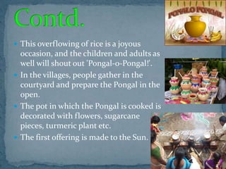  This overflowing of rice is a joyous
occasion, and the children and adults as
well will shout out 'Pongal-o-Pongal!'.
 In the villages, people gather in the
courtyard and prepare the Pongal in the
open.
 The pot in which the Pongal is cooked is
decorated with flowers, sugarcane
pieces, turmeric plant etc.
 The first offering is made to the Sun.
 