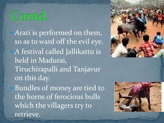  Arati is performed on them,
so as to ward off the evil eye.
 A festival called Jallikattu is
held in Madurai,
Tiruchirapalli and Tanjavur
on this day.
 Bundles of money are tied to
the horns of ferocious bulls
which the villagers try to
retrieve.
 