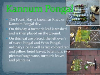  The Fourth day is known as Knau or
Kannum Pongal day.
 On this day, a turmeric leaf is washed
and is then placed on the ground.
 On this leaf are placed, the left over's
of sweet Pongal and Venn Pongal,
ordinary rice as well as rice colored red
and yellow, betel leaves, betel nuts, two
pieces of sugarcane, turmeric leaves,
and plantains.
 