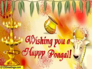 Pongal