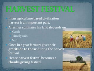  In an agriculture based civilization
harvest is an important part.
 A farmer cultivates his land depends on
 Cattle
 Timely rain
 Sun
 Once in a year farmers give their
gratitude to these during the harvest
festival.
 Hence harvest festival becomes a
thanks giving festival.
 