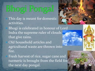  This day is meant for domestic
activities.
 Bhogi is celebrated in honour of Lord
Indra the supreme ruler of clouds
that give rains.
 Old household articles and
agricultural waste are thrown into
fire.
 Fresh harvest of rice, sugar cane and
turmeric is brought from the field for
the next day pongal.
 