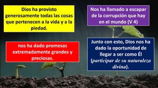 Dios ha provisto
generosamente todas las cosas
que pertenecen a la vida y a la
piedad.
Nos ha llamado a escapar
de la corrupción que hay
en el mundo (V 4)
nos ha dado promesas
extremadamente grandes y
preciosas.
Junto con esto, Dios nos ha
dado la oportunidad de
llegar a ser como Él
(participar de su naturaleza
divina).
 