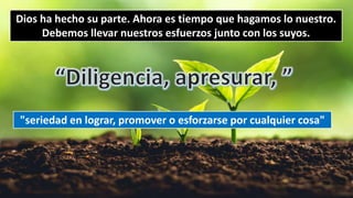 Dios ha hecho su parte. Ahora es tiempo que hagamos lo nuestro.
Debemos llevar nuestros esfuerzos junto con los suyos.
"seriedad en lograr, promover o esforzarse por cualquier cosa"
 