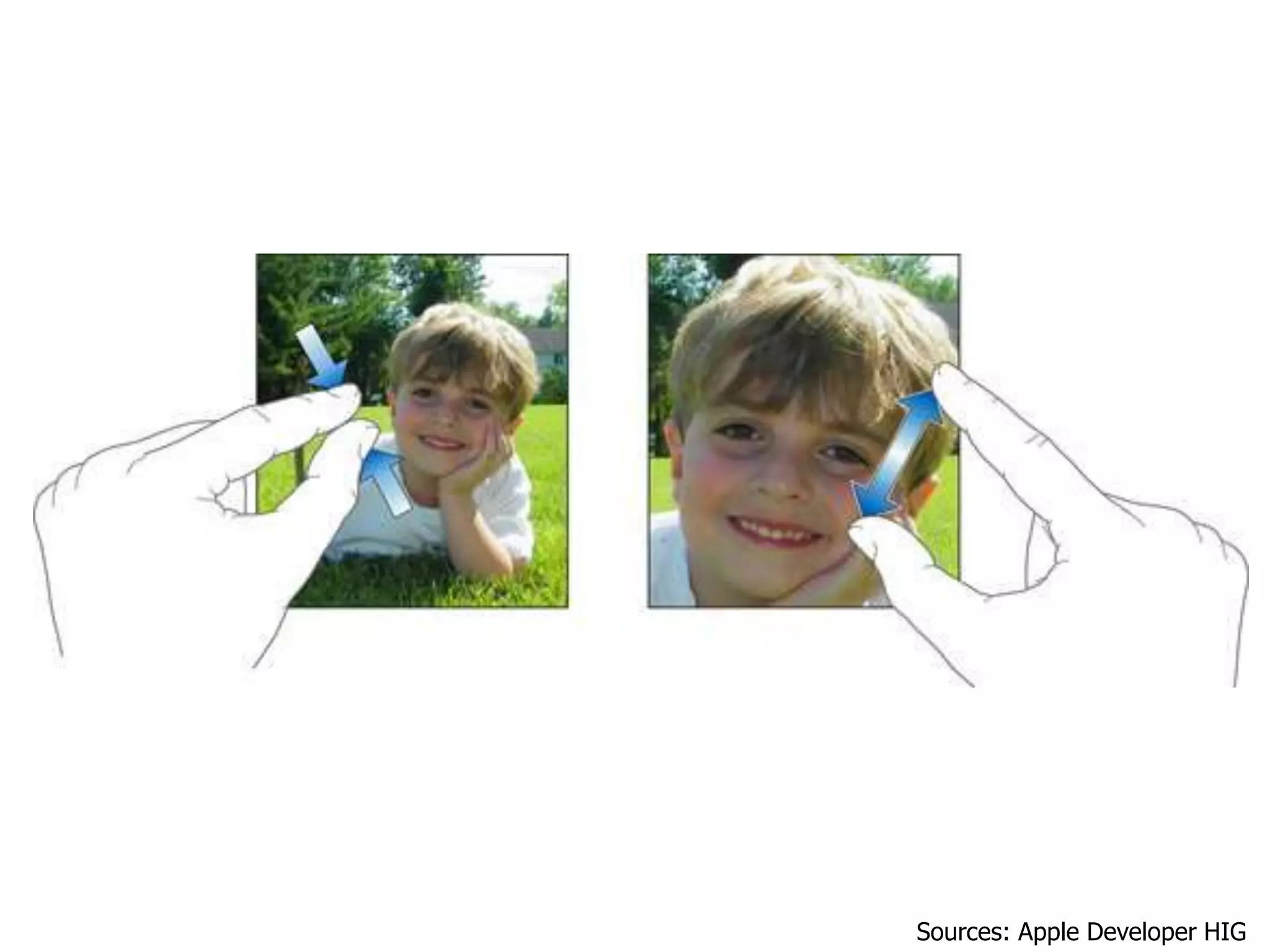 Sources: Apple Developer HIG
 