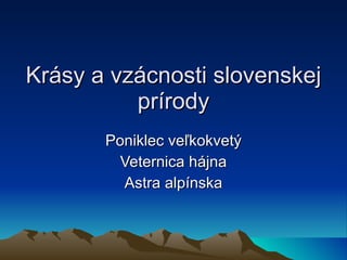 Krásy a vzácnosti slovenskej prírody Poniklec veľkokvetý Veternica hájna Astra alpínska 