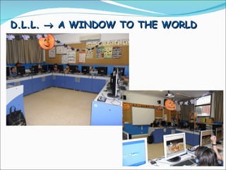 D.L.L.    A WINDOW TO THE WORLD 