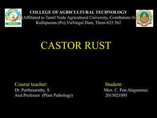 CC
CCACASTOR RUST
OR
COLLEGE OF AGRICULTURAL TECHNOLOGY
(Affiliated to Tamil Nadu Agricultural University, Coimbatore-3)
Kullapuram (Po),ViaVaigai Dam, Theni-625 562
Course teacher: Student:
Dr. Parthasarathy. S Miss. C. Pon Alagammai.
Asst.Professor (Plant Pathology) 2015021095
 