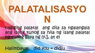 PALATALISASYO
N
nagiging palatal ang dila sa ngalangala
ang isang tunog sa hila ng isang palatal
na tunog gaya ng (y,I, at e)
Halimbawa: did you = didju
 