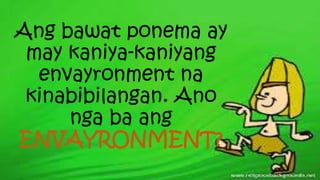 Ang bawat ponema ay
may kaniya-kaniyang
envayronment na
kinabibilangan. Ano
nga ba ang
ENVAYRONMENT?
 
