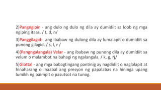 2)Pangngipin - ang dulo ng dulo ng dila ay dumidiit sa loob ng mga
ngiping itaas. / t, d, n/
3)Panggilagid- ang ibabaw ng dulong dila ay lumalapit o dumidiit sa
punong gilagid. / s, l, r /
4)(Pangngalangala) Velar - ang ibabaw ng punong dila ay dumidiit sa
velum o malambot na bahagi ng ngalangala. / k, g, Ŋ/
5)Glottal - ang mga babagtingang pantinig ay nagdidiit o naglalapit at
hinaharang o inaabal ang presyon ng papalabas na hininga upang
lumikh ng paimpit o pasutsot na tunog.
 