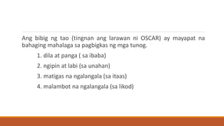 Ang bibig ng tao (tingnan ang larawan ni OSCAR) ay mayapat na
bahaging mahalaga sa pagbigkas ng mga tunog.
1. dila at panga ( sa ibaba)
2. ngipin at labi (sa unahan)
3. matigas na ngalangala (sa itaas)
4. malambot na ngalangala (sa likod)
 