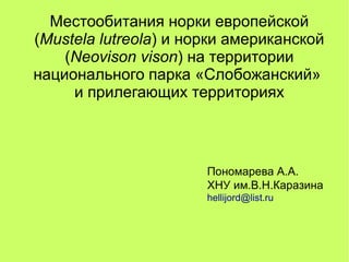 Местообитания норки европейской
(Mustela lutreola) и норки американской
(Neovison vison) на территории
национального парка...