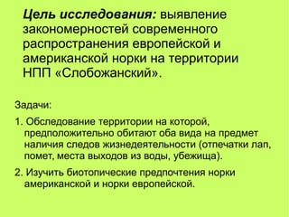 Цель исследования: выявление
закономерностей современного
распространения европейской и
американской норки на территории
Н...