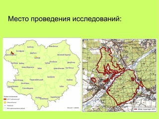 Место проведения исследований:
 