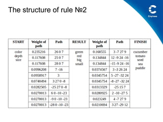 The structure of rule 2
 