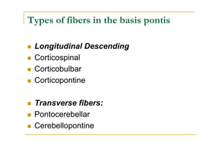 Types of fibers in the basis pontis

 Longitudinal Descending
 Corticospinal
 Corticobulbar
 Corticopontine

 Transverse fibers:
 Pontocerebellar
 Cerebellopontine
 