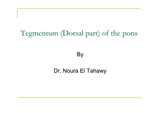 Tegmentum (Dorsal part) of the pons

                 By

         Dr. Noura El Tahawy
 