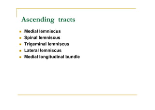 Ascending tracts
Medial lemniscus
Spinal lemniscus
Trigeminal lemniscus
Lateral lemniscus
Medial longitudinal bundle
 