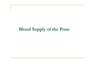 Blood Supply of the Pons
 