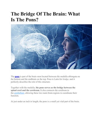 The Bridge Of The Brain: What
Is The Pons?
The pons is part of the brain stem located between the medulla oblongata on
the bottom and the midbrain on the top. Pons is Latin for bridge, and it
perfectly describes the role of this structure.
Together with the medulla, the pons serves as the bridge between the
spinal cord and the cerebrum. It also connects the cerebrum to
the cerebellum, allowing these two main brain regions to coordinate their
function.
At just under an inch in length, the pons is a small yet vital part of the brain.
 