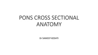 PONS CROSS SECTIONAL
ANATOMY
Dr SAMEEP KOSHTI
 