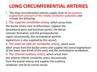 LONG CIRCUMFERENTIAL ARTERIES
• The long circumferential arteries supply most of the pontine
tegmentum and part of the middle cerebellar peduncles and
include the following:
1. The superior cerebellar artery, which arises from
the basilar artery near its bifurcation, supplies the
dorsolateral pons and brachium pontis, the dorsal
reticular formation, and the periaqueductal
region (occasionally, the ventrolateral pontine
tegmentum is also supplied by this vessel).
2. The anterior inferior cerebellar artery, which most
often arises from the basilar artery and supplies the lateral tegmentum
of the lower two-thirds of the pons and the ventrolateral cerebellum.
3. The internal auditory artery, which arises from
the anterior inferior cerebellar artery (occasionally
from the basilar artery) and supplies the auditory,
vestibular, and facial cranial nerves.
 