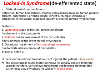 Locked-in Syndrome(de-efferented state)
• Bilateral ventral pontine lesions
(infarction, tumor, hemorrhage, trauma, cervical manipulation, tumor, pontine
abscess, encephalitis, arteritis, neuro-Behcet’s, multiple sclerosis, air
embolism, heroin abuse, diazepam toxicity, or central pontine myelinolysis)
Features:-
1. Quadriplegia due to bilateral corticospinal tract
involvement in the basis pontis
2. Aphonia due to involvement of the corticobulbar
fibers innervating the lower cranial nerve nuclei
3. Occasional impairment of horizontal eye movements
due to bilateral involvement of the fascicles
of cranial nerve VI
 Because the reticular formation is not injured, the patient is fully awake.
 The supranuclear ocular motor pathways lie dorsally and are therefore
spared; therefore, vertical eye movements and blinking are intact (the
patient may actually convey his wishes in Morse code)
 