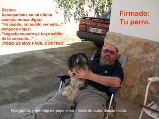 Décima Acompañàme en mi último camino, nunca digas: "no puedo, no puedo ver esto..." tampoco digas:  "háganlo cuando yo haya salido de la consulta..."  ¡TODO ES MAS FÁCIL CONTIGO!  Firmado: Tu perro.   Fotografias y montaje de pepe linea – texto de autor desconocido 