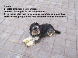 Cuarta Si estás enfadado no me utilices  como el pararrayos de tus sentimientos.  Si he hecho algo mal, no dejes que tu enfado conmigo dure eternamente, porque no lo hice con intención de molestarte.   