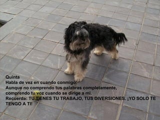 Quinta Habla de vez en cuando conmigo.  Aunque no comprendo tus palabras completamente,  comprendo tu voz cuando se dirige a mi.  Recuerda: TU TIENES TU TRABAJO, TUS DIVERSIONES. ¡YO SOLO TE TENGO A TI!   