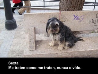 Sexta Me traten como me traten, nunca olvido.   