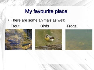 5
My favourite placeMy favourite place
●
There are some animals as well:
Trout Birds Frogs
 