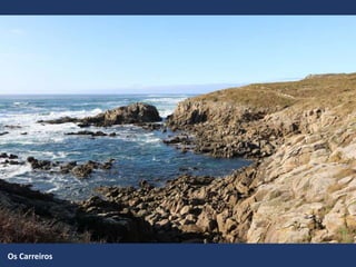 Os Carreiros
 