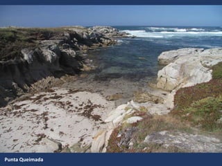 Punta Queimada
 