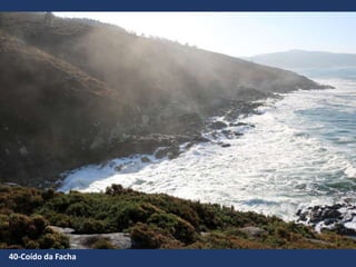 40-Coído da Facha
 